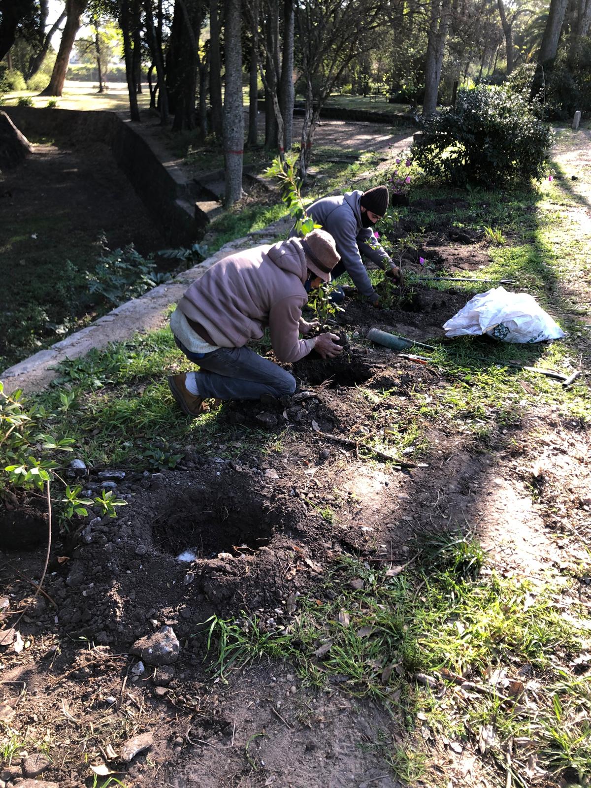 Vecinos plantando, agosto de 2020.